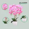 Lacers SmagragdLine Pflegeleichte Orchidee mit Topf Produktbild-Vorschau 3