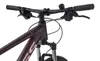 Axess DOREE Damen-Mountainbike Hardtail 29 Zoll Kupfer 17 Produktbild-Vorschau 4