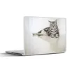 MuchoWow® Laptop Aufkleber Sticker Cover Katze - Grau - Produktbild-Vorschau 1