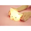 MEGAlight Batterie Catty Cat Lumière Voir les images du produit 32
