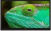 Lenco LED-2423BK - 24-Zolll Fernsehen mit  Produktbild-Vorschau 5