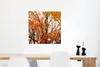MuchoWow® Poster Wald - Herbst - Jahreszeiten 50x50 cm - Produktbild-Vorschau 5