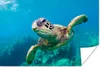 MuchoWow® Poster Eine Schildkröte schwimmt durch das Produktbild-Vorschau 1