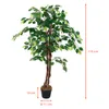 3.08 Dekorativní rostlina 115cm - Model: Benjamini (široká) Náhled obrázku produktu 2