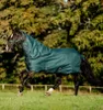 Horseware Amigo Ripstop 900D Plus Turnout 100g Decke Produktbild-Vorschau 2