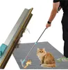 A person is using a cleaning brush to remove pet hair from a rug, with a cat sitting nearby. Náhled obrázku produktu