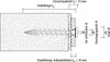 Isolierplattenschraube IPS 80 Länge 80 mm RAL 9003 - Produktbild-Vorschau 7