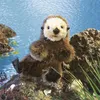 Cucciolo di lontra marina / Lontra marina neonata Anteprima dell’immagine prodotto 1