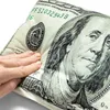 Cuscino decorativo a forma di banconota - Cento dollari - Anteprima dell’immagine prodotto 3