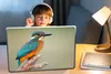 MuchoWow® Laptop Aufkleber Sticker Cover Vogel - Eisvogel - Produktbild-Vorschau 3