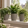 Prosperplast Pflanzentopf - Kunststoff - steingrau - D15 x Produktbild-Vorschau 4