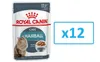 Royal Canin Hairball Care Gravy, Adult, jede Rasse, Muschel Produktbild-Vorschau 21