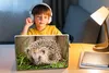 MuchoWow® Laptop Aufkleber Sticker Cover Igel für Produktbild-Vorschau 3