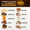 Mushroom Complex 11500mg (120 capsules) Complément Voir les images du produit 3
