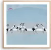 Gerahmtes Poster - Rahmen in heller Eiche - Vögel Kraniche Produktbild-Vorschau 1