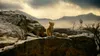 Mufasa: Der König der Löwen Produktbild-Vorschau 3