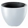 Sleek Planter with Smooth Surface and Elevated Tapered Base Produktbild-Vorschau 2
