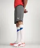 PUMA Herren Teamrise Strick-Shorts, Smoked Pearl-puma Produktbild-Vorschau 2