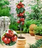 A potted columnar apple tree with red apples is displayed in a garden setting, with a stone lion statue and other plants in the background. Produktbild-Vorschau