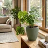 Grote, outdoor bloempot ZENTO, kleur taupe, afmetingen 39 x Productafbeelding-voorbeeld 6