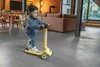 Puky Push Roller mit 3 LED Rädern klappbar Pineapple 5203 Produktbild-Vorschau 24
