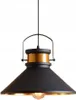 A black pendant light with gold accents and a visible light bulb, isolated on a white background. Náhled obrázku produktu