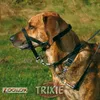 Trixie Top Trainer Ausbildungsgeschirr, Größe: S Produktbild-Vorschau 11