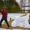 Velo invernale EraGreen 60g/m² 1,6m x 50m Velo antigelo per Anteprima dell’immagine prodotto 6