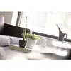 A living room scene with plants on a coffee table. Anteprima dell’immagine prodotto