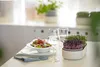 Sprossenschale & Pflanzschale ReGrow | Keimschalen von Produktbild-Vorschau 20
