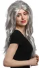 WIG ME UP Perücke Grau Glatt Lang Toupiert Volumen Produktbild-Vorschau 4