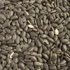 Schwarze Sonnenblumenkerne 25 kg Vogelfutter Ernte 2025 Produktbild-Vorschau 3