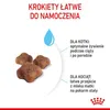 Marketing image for cat food, showing kibble and text describing benefits for pregnant/nursing cats and kittens. Anteprima dell’immagine prodotto