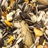 Versele Laga Papageienfutter 15Kg - Hochwertige Mischung Produktbild-Vorschau 3
