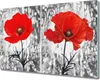 Coloray Herdabdeckplatte 80x52 cm Schneidebrett Produktbild-Vorschau 1
