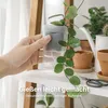 Anzuchttöpfe transparent mit Etikett | 12 Stück quadratisch Produktbild-Vorschau 5