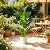 Künstliche Paradiesvogelblume Kunstpalme Tropische Produktbild-Vorschau 4