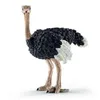 Collecta - Struzzo -L- 88459 (90188459) COLECTA Anteprima dell’immagine prodotto 1