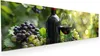 Glasbild 120x40cm in XXL für Wohnzimmer, Schlafzimmer Motiv Produktbild-Vorschau 1