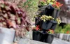 A stack of black planters with red and green flowers on a stone path. Náhľad obrázku produktu
