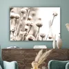 MuchoWow® - Leinwandbilder - Blumen - Pflanzen - Stillleben Produktbild-Vorschau 4