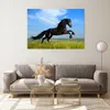 Bilder auf glas - Schwarzes Pferd Pferd Galopp - 100x70cm - Produktbild-Vorschau 7