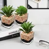 2er Set Künstliche Sukkulenten Glas Topf Deko Wohnzimmer Produktbild-Vorschau 4