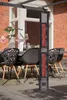 SUNRED® Standheizstrahler Valencia Dark Lounge Black 3000W Produktbild-Vorschau 5