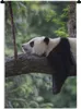 MuchoWow® Wandteppich Wandbehang Panda - Baum - Tiere - Produktbild-Vorschau 1