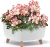 Prosperplast Gracia Square Blumentopf mit abnehmbaren Produktbild-Vorschau 11