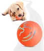 A puppy plays with a toy ball, with a larger version of the toy ball in the foreground. Podgląd zdjęcia produktu