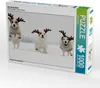 Calvendo Die Ren(n)tiere 1000 Teile Puzzle quer 640x480mm, Produktbild-Vorschau 1