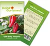 Chili Early Jalapeno Samen - Capsicum annuum - Chilisamen - Produktbild-Vorschau 1