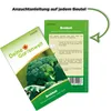 Brokkoli Ramoso Calabrese Samen - Brassica oleracea - Produktbild-Vorschau 3
